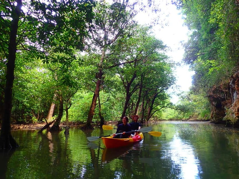 Ishigaki: Mangrove SUP or Canoe & Phantom Island Snorkeling - Why this Ishigaki combination works