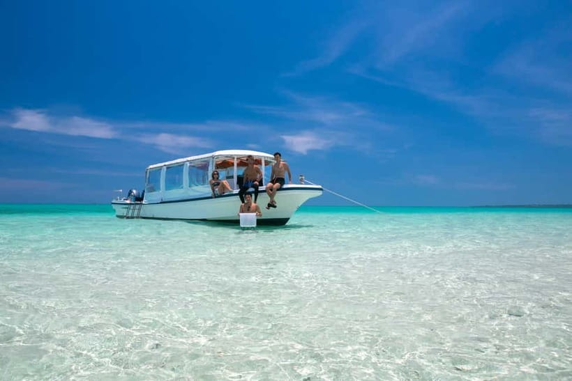 Ishigaki: Mangrove SUP or Canoe & Phantom Island Snorkeling - Starting at Euglena Ishigaki Port Terminal