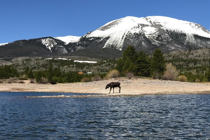 Island Kayak Tour Experience in Frisco - What to bring and how to judge the value