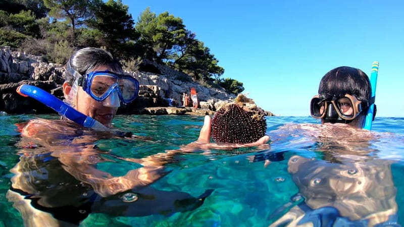 Island Losinj Kayak Tour - Starting at Camping Village Poljana