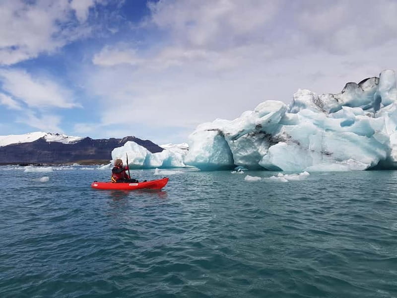 Jökulsárlón Glacier Lagoon Kayaking Tour - Seals, birds, and responsible wildlife viewing