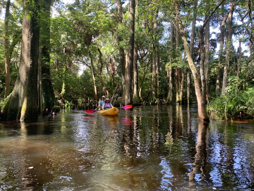 Jupiter: Wild and Scenic Loxahatchee River Kayak Tour - Key points before you book