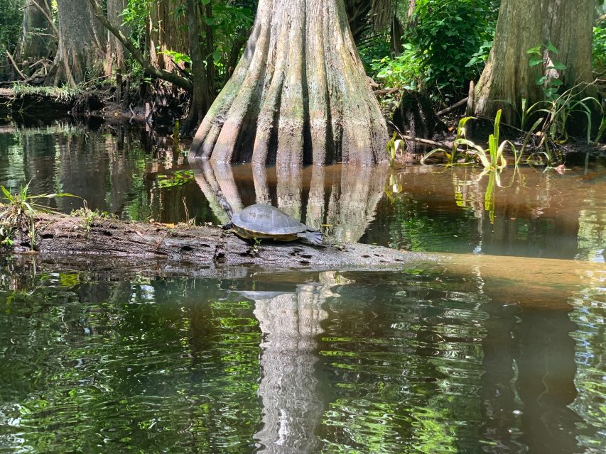 Jupiter: Wild and Scenic Loxahatchee River Kayak Tour - Starting at Riverbend Park’s thatched chickee hut