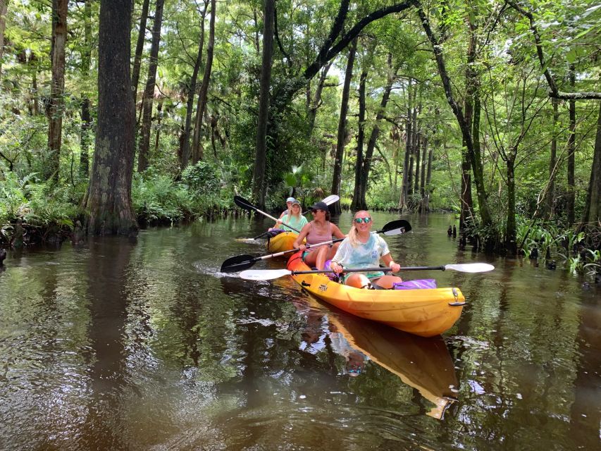 Jupiter: Wild and Scenic Loxahatchee River Kayak Tour - Wildlife sightings along the winding river