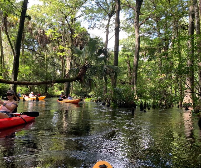 Jupiter: Wild and Scenic Loxahatchee River Kayak Tour - Two hours is enough for a taste of the river