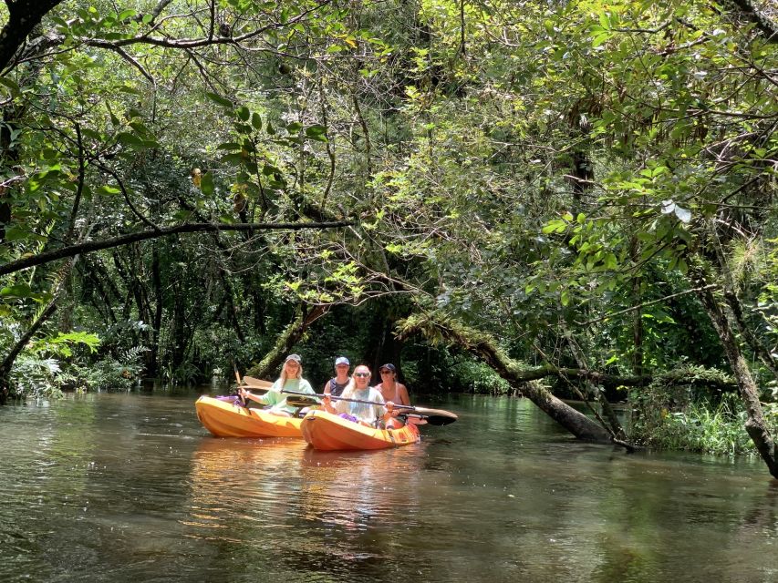 Jupiter: Wild and Scenic Loxahatchee River Kayak Tour - Paddling into the upper Loxahatchee