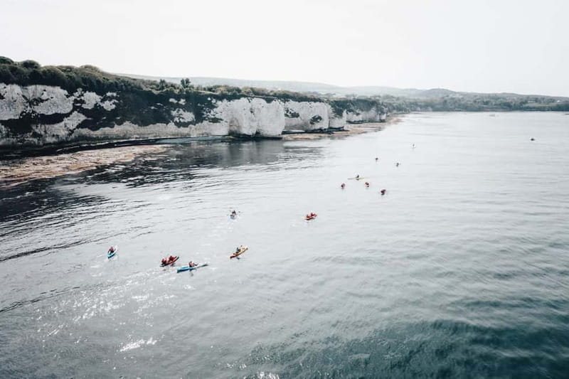 Jurassic Coast Kayaking Tour to Old Harry Rocks - Key points before you book