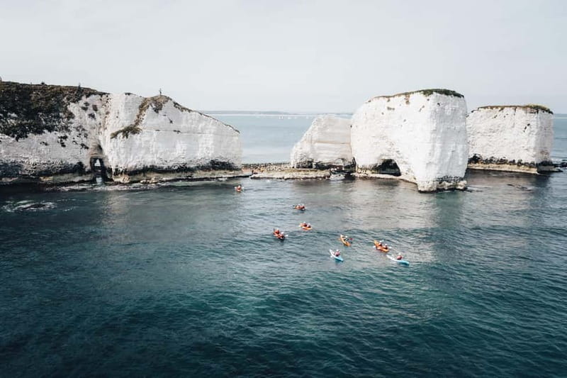 Jurassic Coast Kayaking Tour to Old Harry Rocks - Meeting seals, seabirds, and edible seaweed