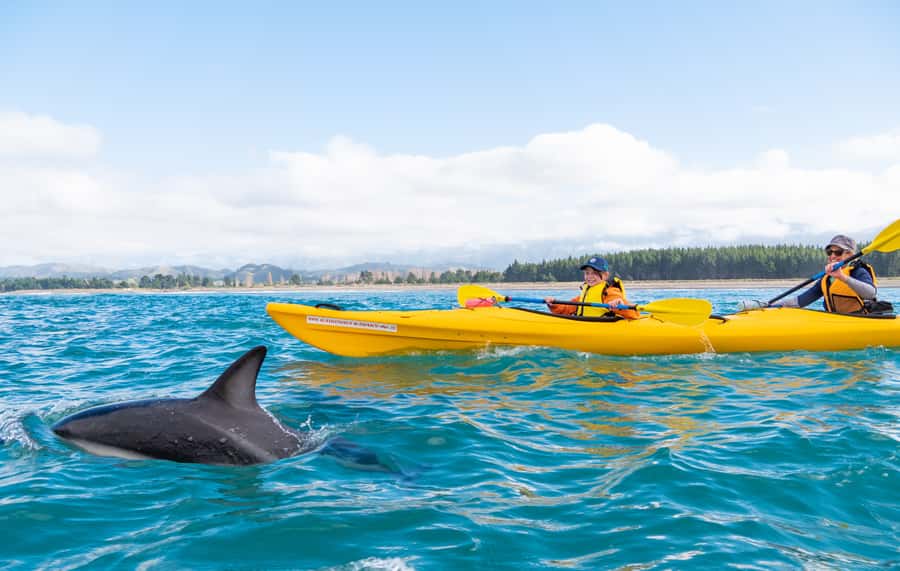 Kaikoura: Guided Family Kayaking Adventure - Stable Kayaks and a Family-Friendly Setup