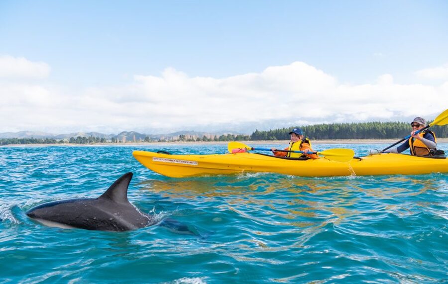 Kaikoura: Guided Family Kayaking Adventure - The Paddle Along Kaikoura’s Coast