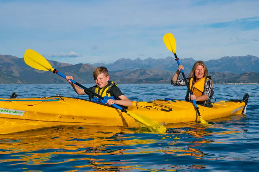 Kaikoura: Guided Family Kayaking Adventure - What the $95 Price Covers
