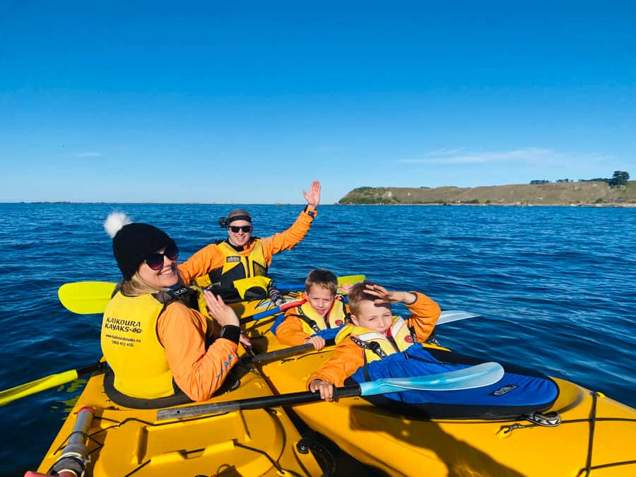 Kaikoura: Guided Family Kayaking Adventure - How the Experience Fits Into a Kaikoura Visit