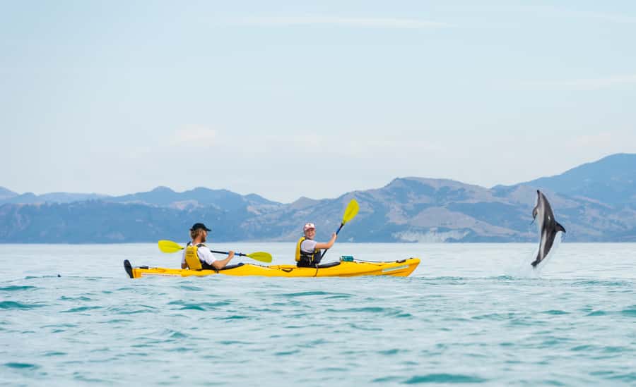 Kaikoura: Half-Day Wildlife Kayaking Tour - What the three-hour timing really means