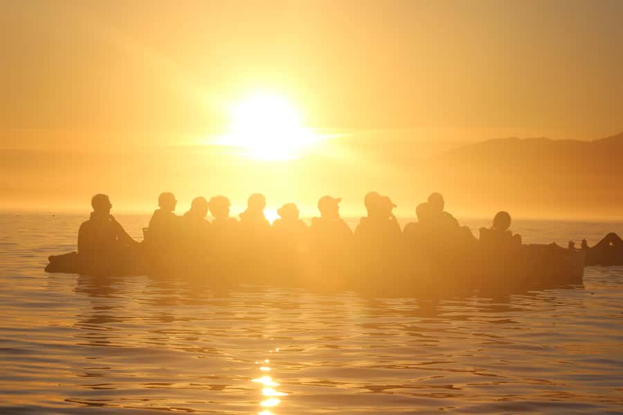 Kaikōura: Kayak Sunset Tour with Seal Sightings - Key points to know before booking