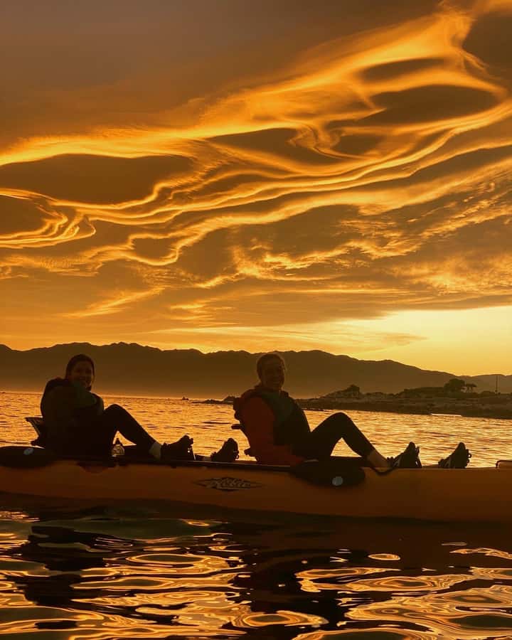Kaikōura: Kayak Sunset Tour with Seal Sightings - Why Kaikōura works so well from a kayak