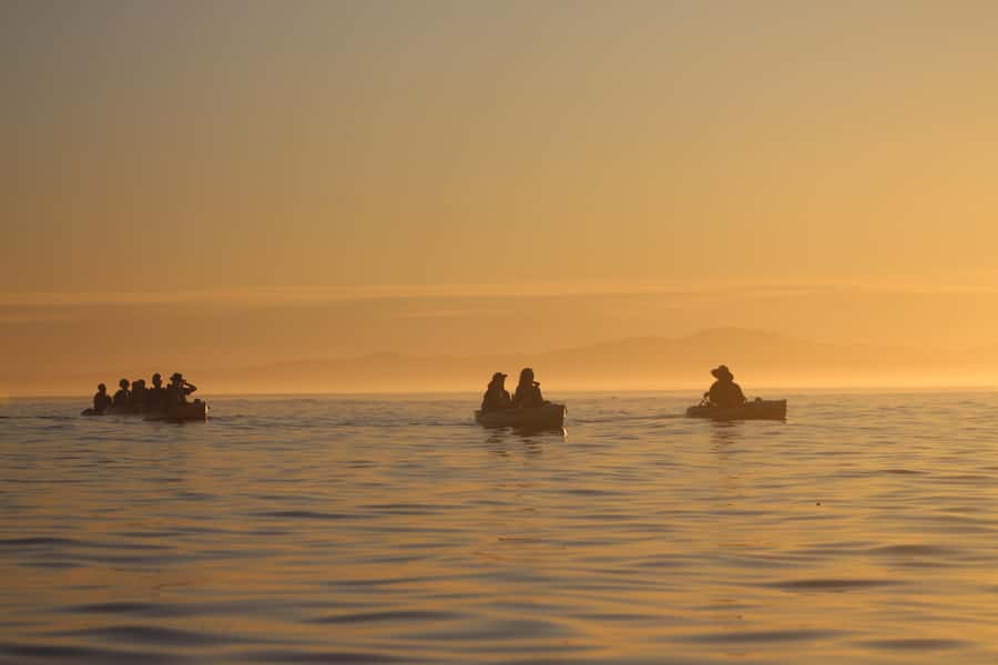 Kaikōura: Kayak Sunset Tour with Seal Sightings - The short van ride and safety briefing