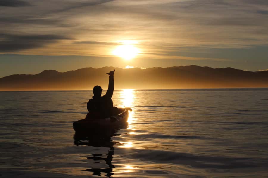 Kaikōura: Kayak Sunset Tour with Seal Sightings - Looking for kekeno, penguins, and seabirds