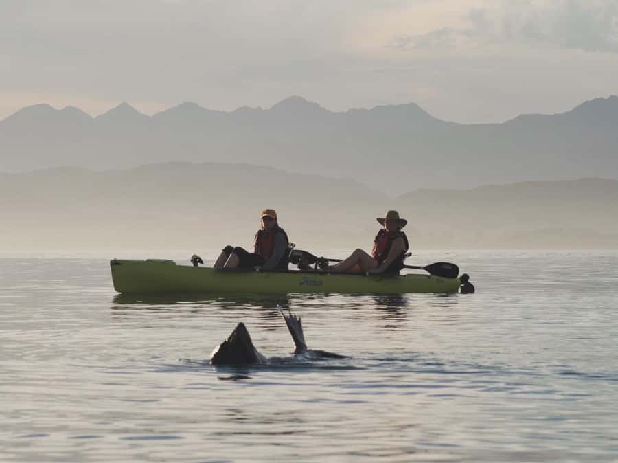 Kaikōura: Kayak Sunset Tour with Seal Sightings - Stories of Māori life, whaling, and sealing