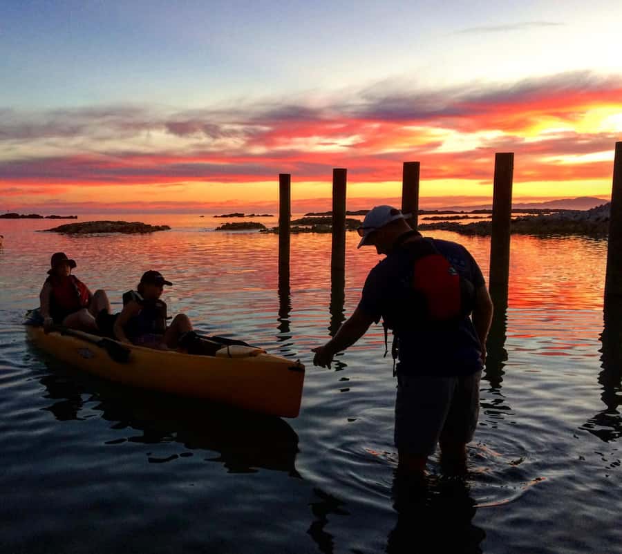 Kaikōura: Kayak Sunset Tour with Seal Sightings - Who will enjoy this most