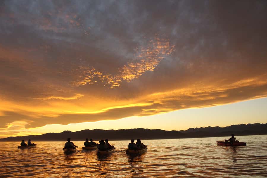 Kaikoura: Seal-Watching Pedal Kayak Tour - Booking, clothing, and timing tips
