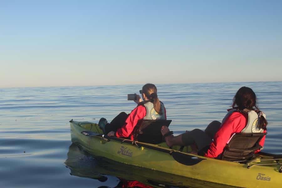 Kaikoura: Seal-Watching Pedal Kayak Tour - Mountain views and a quieter pace on the water