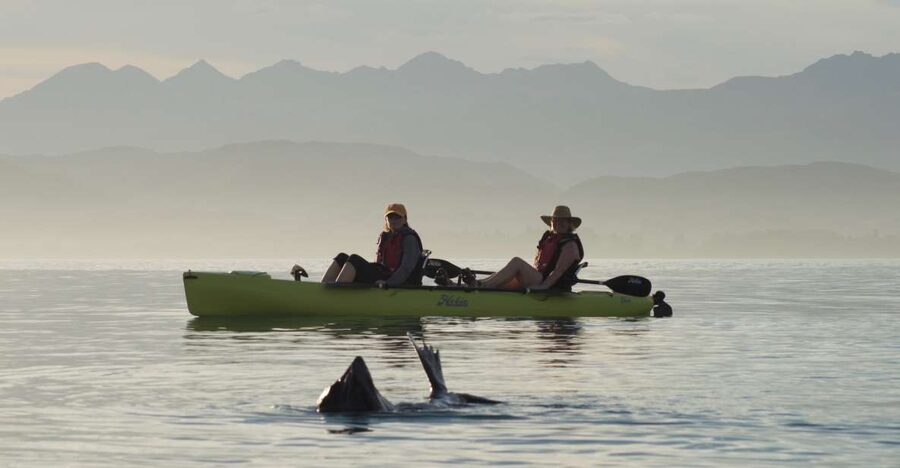 Kaikoura: Seal-Watching Pedal Kayak Tour - What the $83 price really covers
