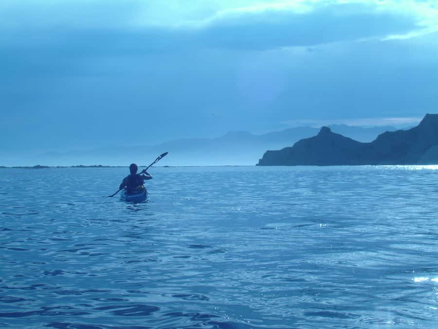 Kaikoura: Sunset Evening Kayaking Tour - Dolphins, penguins, and the luck factor
