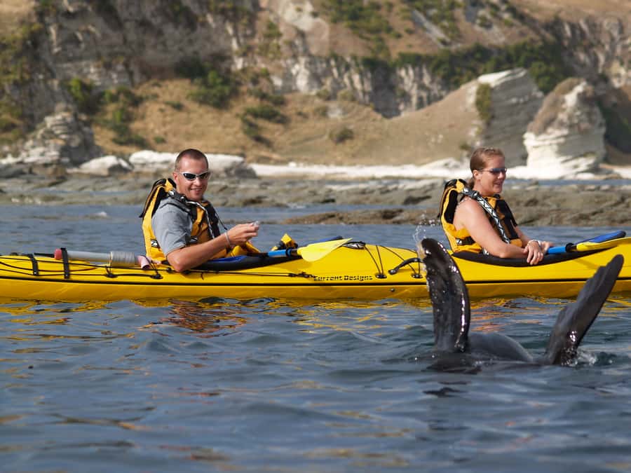 Kaikoura: Sunset Evening Kayaking Tour - Is $95 good value?