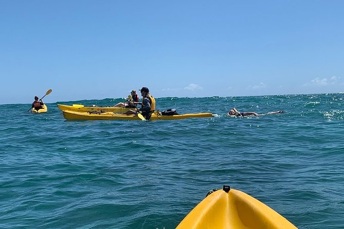 Kailua 2-Hour Guided Kayaking Excursion, Oahu - Who Will Enjoy This Kailua Kayak Tour?