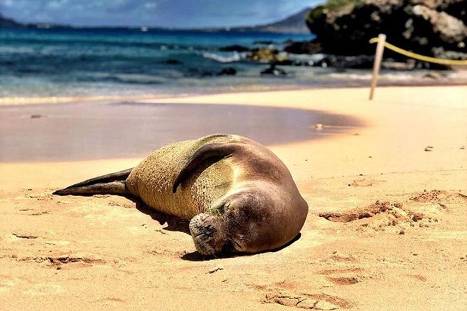 Kailua Bay, Oahu: Epic Kayak and Snorkel to Islands - Kailua Beach and the kayak carry