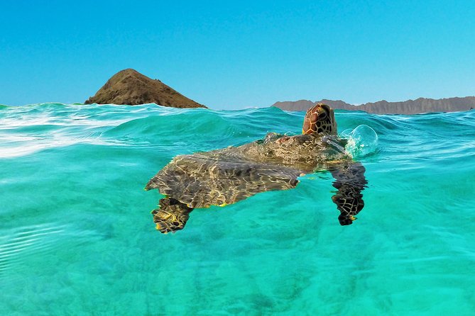 Kailua Bay, Oahu: Epic Kayak and Snorkel to Islands - Snorkeling near Lanikai and the islands
