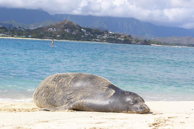 Kailua Bay, Oahu: Epic Kayak and Snorkel to Islands - Lunch, lockers, and the useful extras