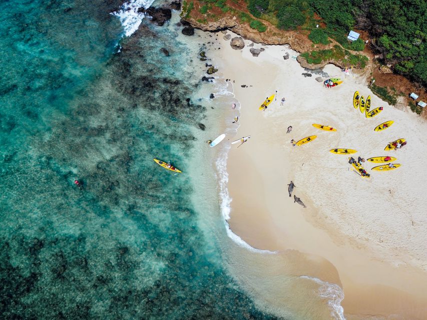 Kailua: Mokulua Islands Guided Kayak and Snorkeling Tour - Lunch with a view on Moku Nui