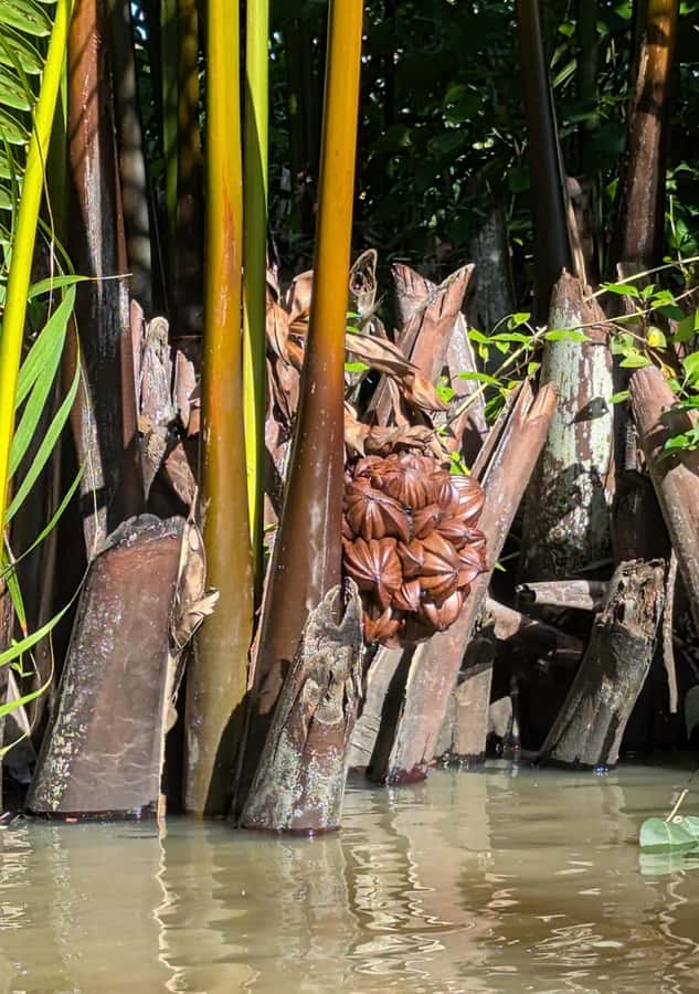 Kampot's Countryside & Kayak Tour, Pepper Farm include Lunch - The Secret Lake: a pause between activities