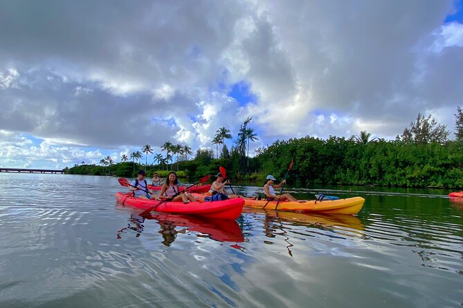 Kauai Adventure: Kayak & Hike to Secret Falls with Expert Guide - What the guides add to the day