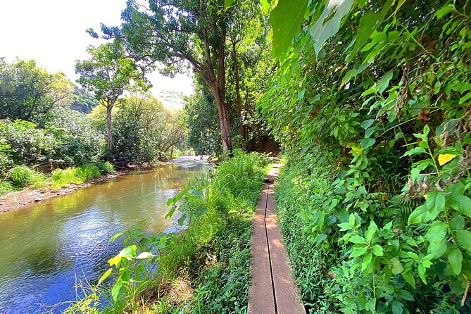 Kauai Adventure: Kayak & Hike to Secret Falls with Expert Guide - What to bring for a better day
