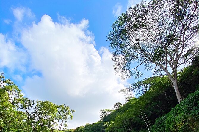 Kauai Adventure: Kayak & Hike to Secret Falls with Expert Guide - Fitness, age, and comfort level