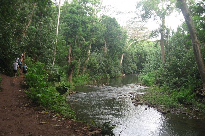 Kauai Adventure: Kayak & Hike to Secret Falls with Expert Guide - Arriving at 100-foot Uluwehi Falls