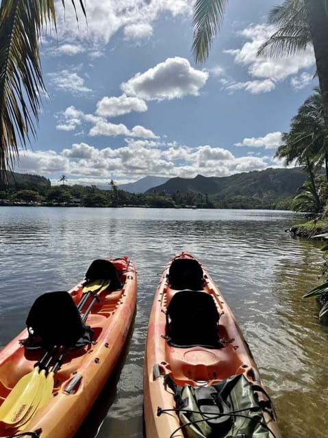 Kauai: Guided Kayak and Hike to Secret Falls - Key points at a glance