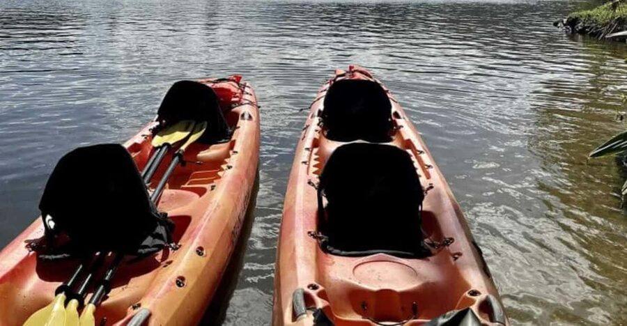 Kauai: Guided Kayak and Hike to Secret Falls - Paddling five miles through the Wailua River Valley