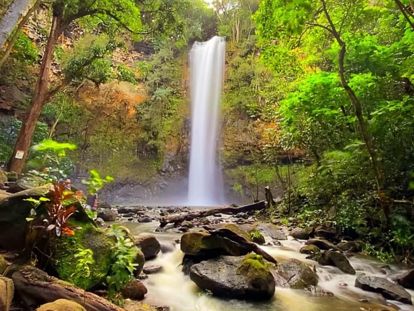 Kauai: Guided Kayak and Hike to Secret Falls - Timing, group pace, and comfort