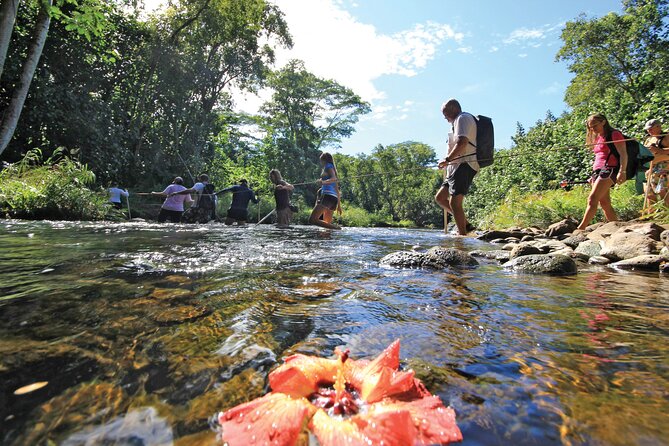Kauai: Secret Falls Kayak and Hike - Why this Kauai half-day adventure works