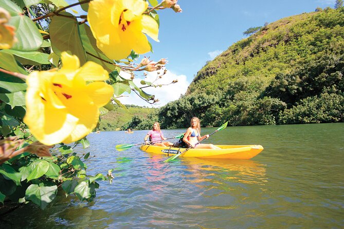 Kauai: Secret Falls Kayak and Hike - Weather, safety, and who should skip it