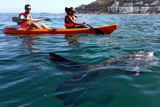 Kayak Adventure at Clifton Beach - Kelp Forests and Rock Pools Near Maiden’s Cove