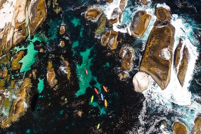 Kayak Adventure at Clifton Beach - Timing, Weather, and Planning Advice