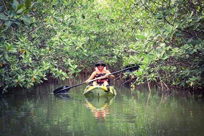 Kayak Adventure in Cancun - Learning to notice animals before they appear