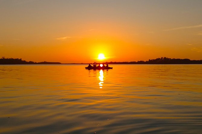 Kayak Adventure of Shell Key Preserve & Island with a Local - Key points to know before you book