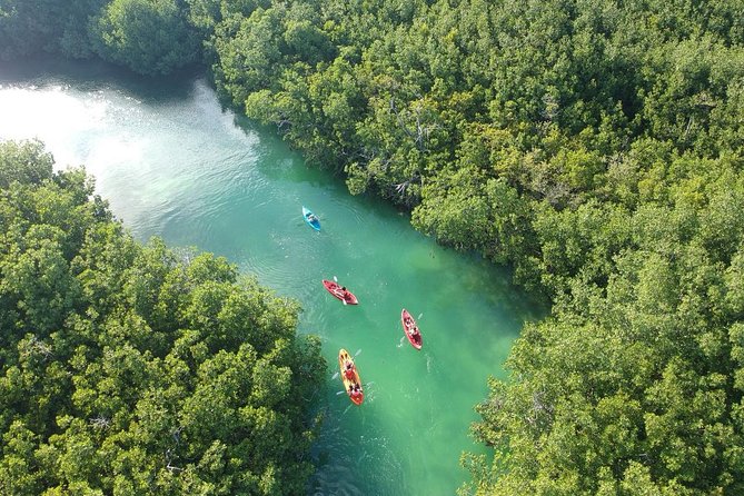 Kayak adventure through Laguna Nichupté in Cancun - Why Laguna Nichupté makes a good Cancun outing