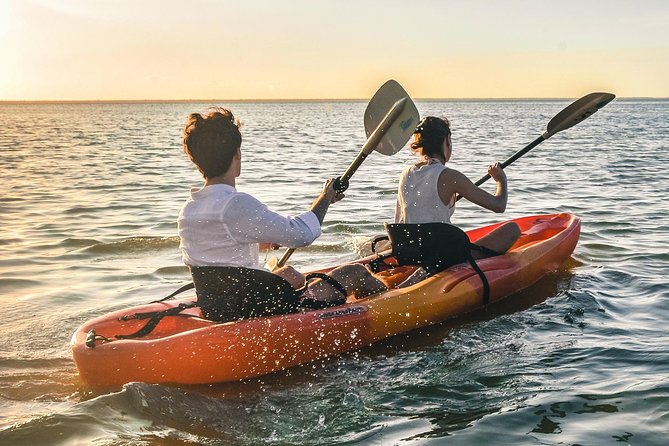 Kayak adventure through Laguna Nichupté in Cancun - Who should book this kayak trip