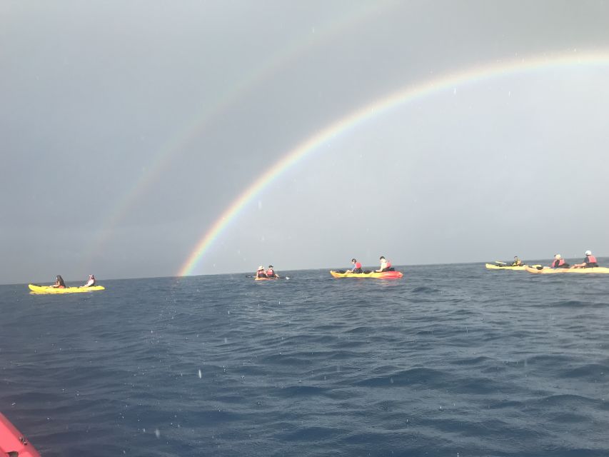 Kayak and Snorkel West Maui at Olowalu - Key points to know before you book